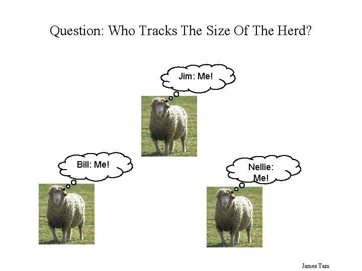 Question: Who Tracks The Size Of The Herd? Jim: Me! Bill: Me! Nellie: Me! Question: Who Tracks The Size Of The Herd? Jim: Me! Bill: Me! Nellie: Me!