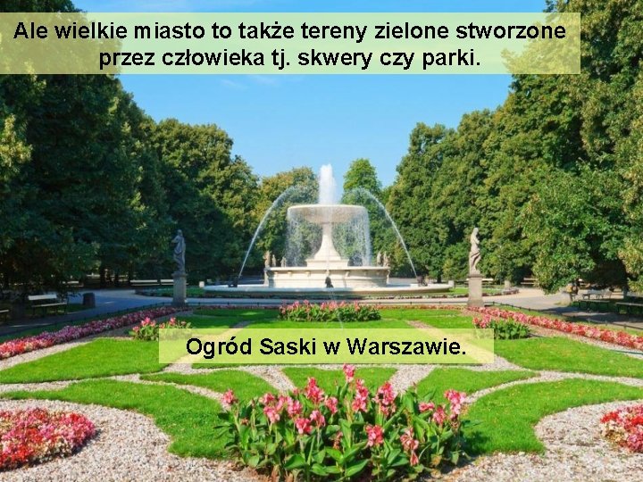 Ale wielkie miasto to także tereny zielone stworzone przez człowieka tj. skwery czy parki.