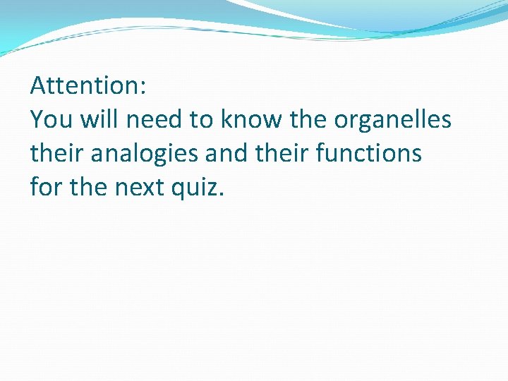 Attention: You will need to know the organelles their analogies and their functions for