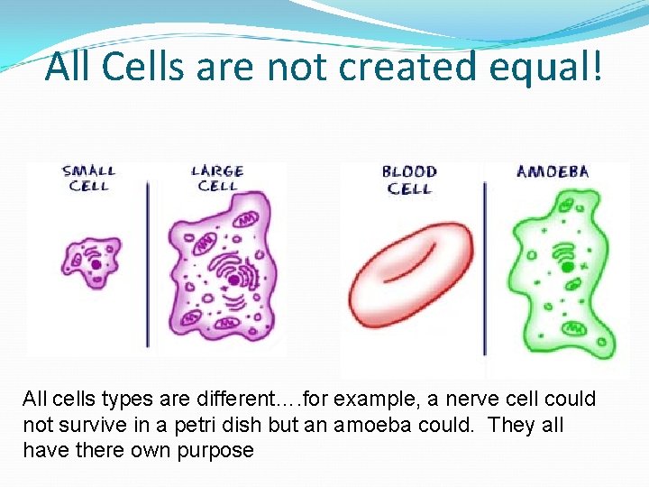 All Cells are not created equal! All cells types are different…. for example, a