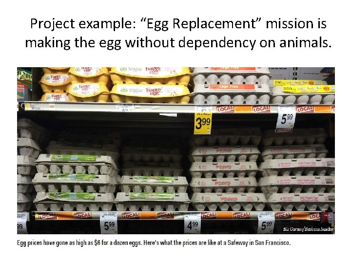 Project example: “Egg Replacement” mission is making the egg without dependency on animals. 
