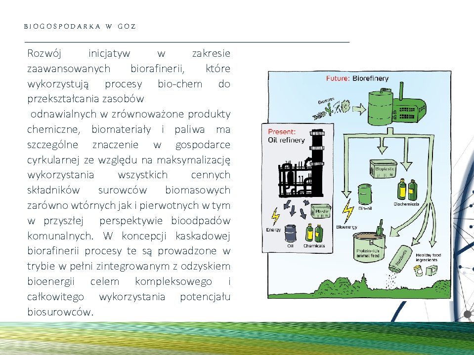 BIOGOSPODARKA W GOZ Rozwój inicjatyw w zakresie zaawansowanych biorafinerii, które wykorzystują procesy bio-chem do