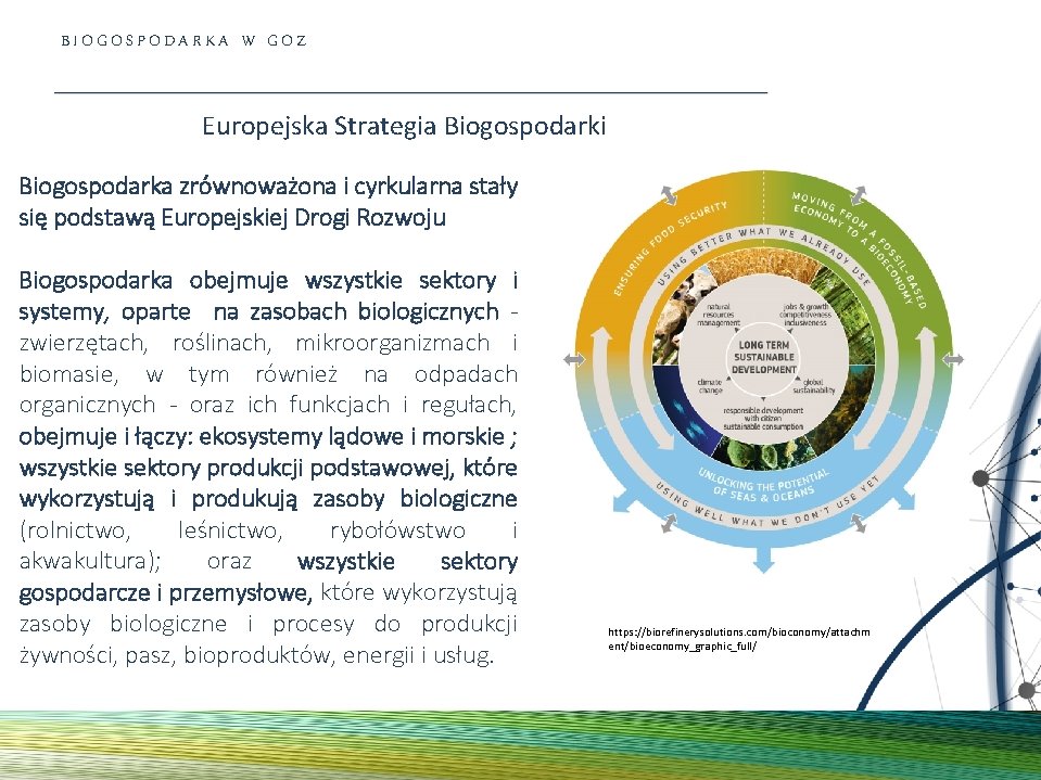 BIOGOSPODARKA W GOZ Europejska Strategia Biogospodarki Biogospodarka zrównoważona i cyrkularna stały się podstawą Europejskiej