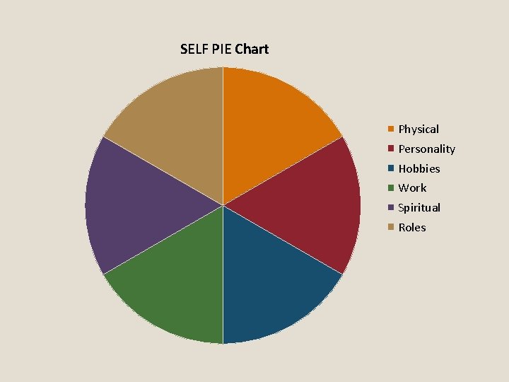 SELF PIE Chart Physical Personality Hobbies Work Spiritual Roles 