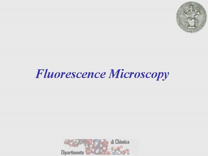 Fluorescence Microscopy 