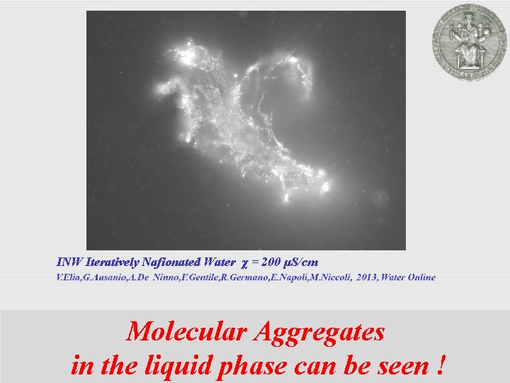 INW Iteratively Nafionated Water χ = 200 µS/cm Molecular Aggregates in the liquid phase