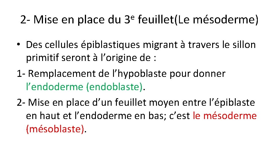 2 - Mise en place du 3 e feuillet(Le mésoderme) • Des cellules épiblastiques