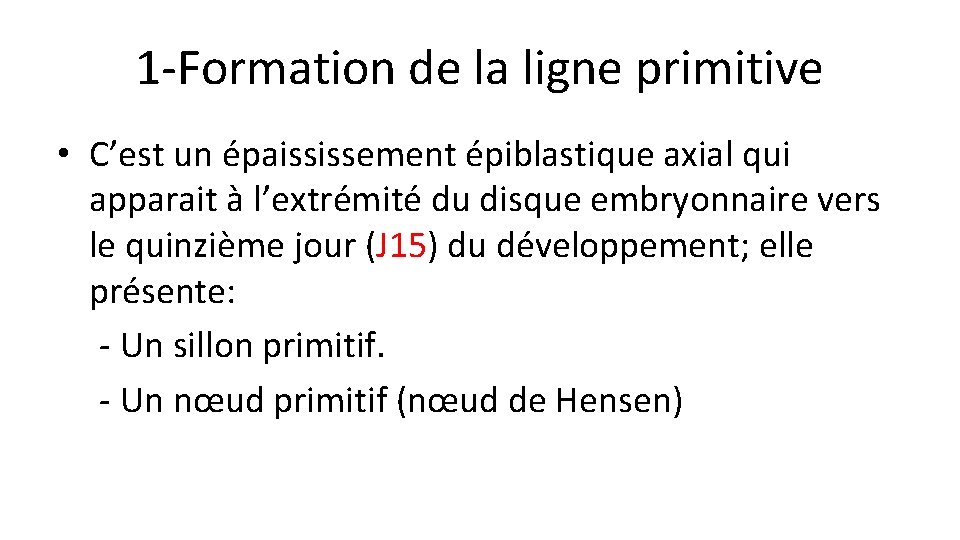 1 -Formation de la ligne primitive • C’est un épaississement épiblastique axial qui apparait