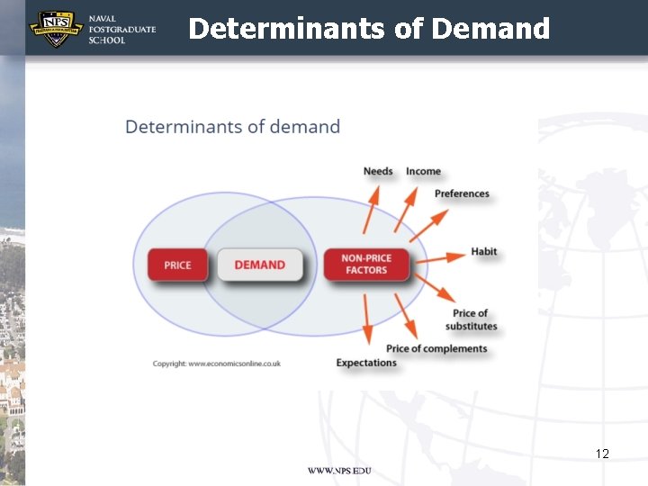 Determinants of Demand 12 