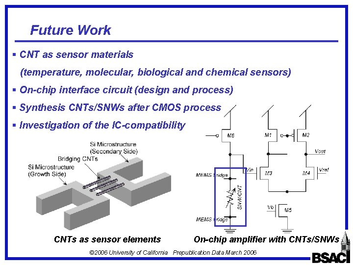 Future Work § CNT as sensor materials (temperature, molecular, biological and chemical sensors) §