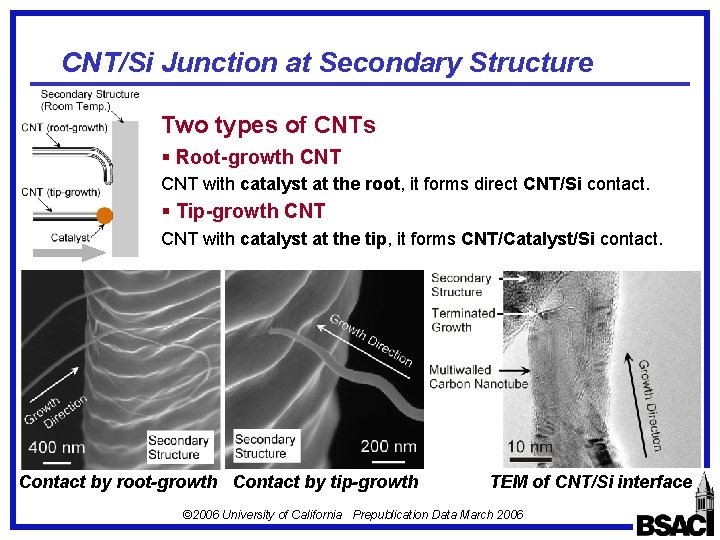 CNT/Si Junction at Secondary Structure Two types of CNTs § Root-growth CNT with catalyst