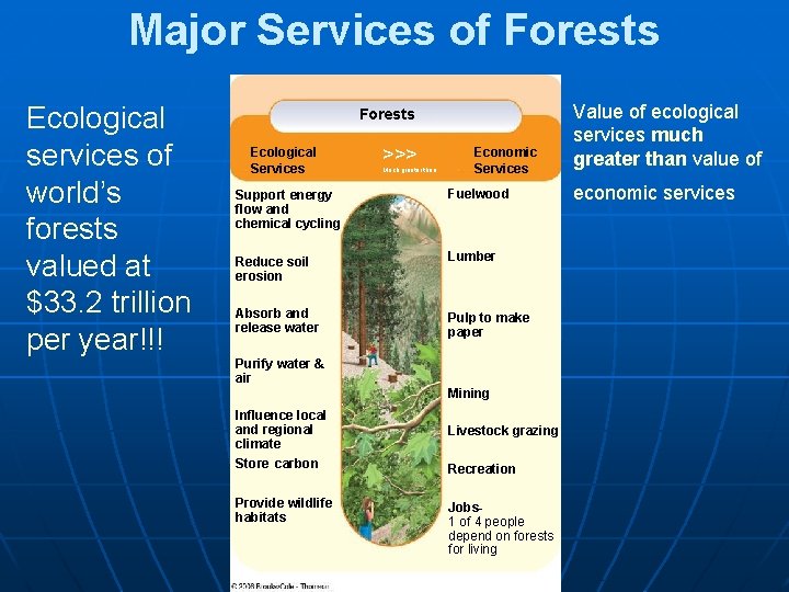 Major Services of Forests Ecological services of world’s forests valued at $33. 2 trillion