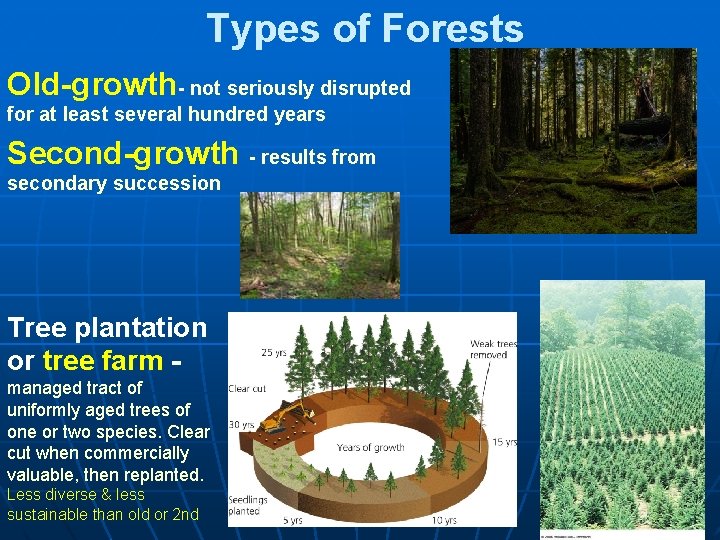 Types of Forests Old-growth- not seriously disrupted for at least several hundred years Second-growth