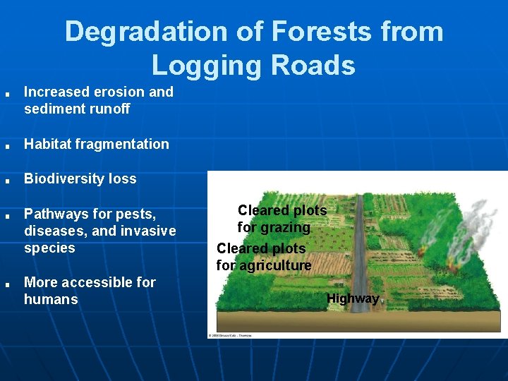 Degradation of Forests from Logging Roads ■ Increased erosion and sediment runoff ■ Habitat