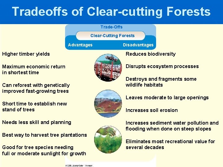 Tradeoffs of Clear-cutting Forests Trade-Offs Clear-Cutting Forests Advantages Disadvantages Higher timber yields Reduces biodiversity