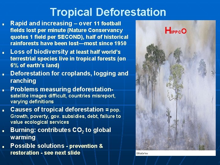 Tropical Deforestation ■ Rapid and increasing – over 11 football fields lost per minute