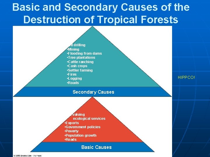 Basic and Secondary Causes of the Destruction of Tropical Forests • Oil drilling •