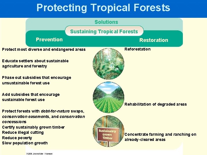 Protecting Tropical Forests Solutions Sustaining Tropical Forests Prevention Protect most diverse and endangered areas