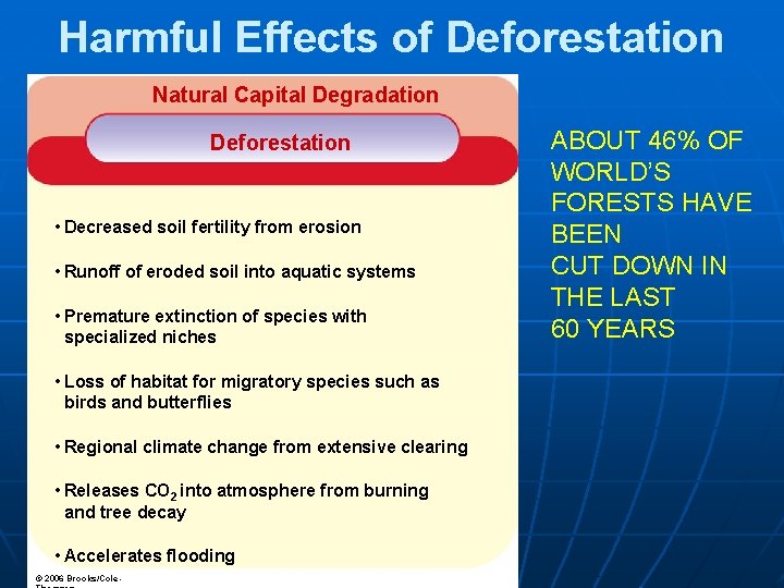 Harmful Effects of Deforestation Natural Capital Degradation Deforestation • Decreased soil fertility from erosion