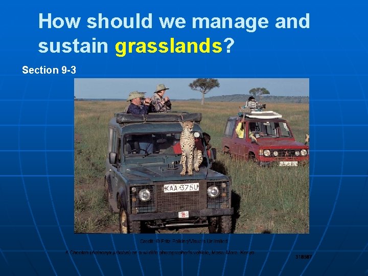How should we manage and sustain grasslands? Section 9 -3 