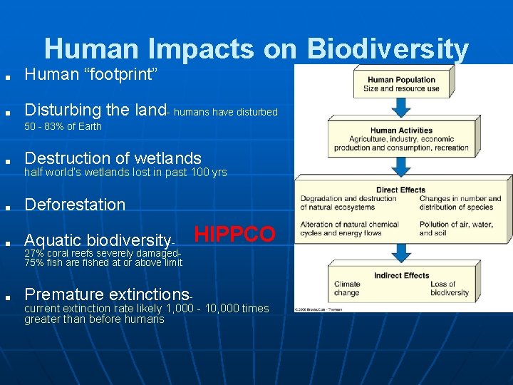 Human Impacts on Biodiversity ■ Human “footprint” ■ Disturbing the land- humans have disturbed
