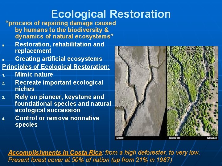 Ecological Restoration “process of repairing damage caused by humans to the biodiversity & dynamics