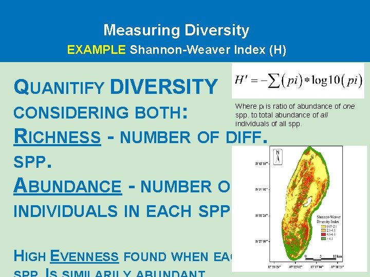 Measuring Diversity EXAMPLE Shannon-Weaver Index (H) QUANITIFY DIVERSITY CONSIDERING BOTH: RICHNESS - NUMBER OF