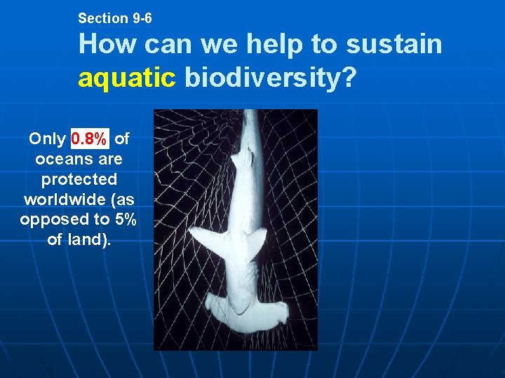Section 9 -6 How can we help to sustain aquatic biodiversity? Only 0. 8%