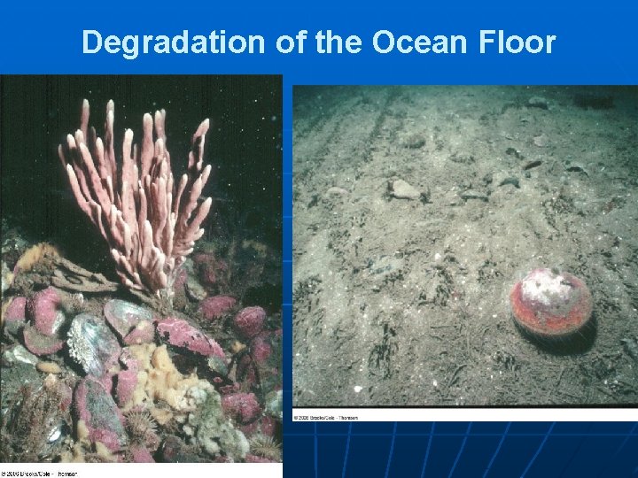 Degradation of the Ocean Floor 
