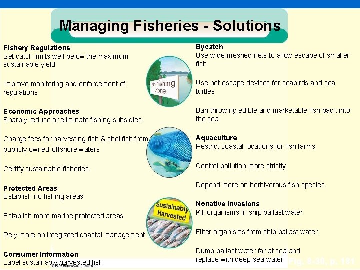 Managing Fisheries - Solutions Fishery Regulations Set catch limits well below the maximum sustainable