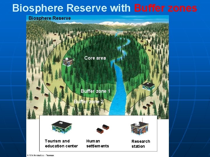 Sustaining Biodiversity The Ecosystem Approach Chapter 9 Key