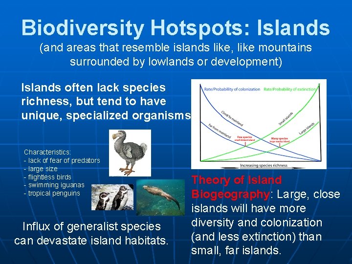 Biodiversity Hotspots: Islands (and areas that resemble islands like, like mountains surrounded by lowlands