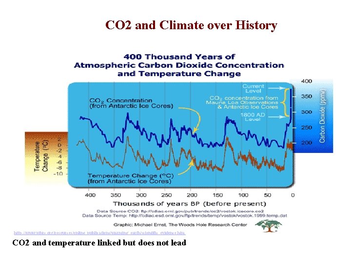 CO 2 and Climate over History http: //www. whrc. org/resources/online_publications/warming_earth/scientific_evidence. htm CO 2 and