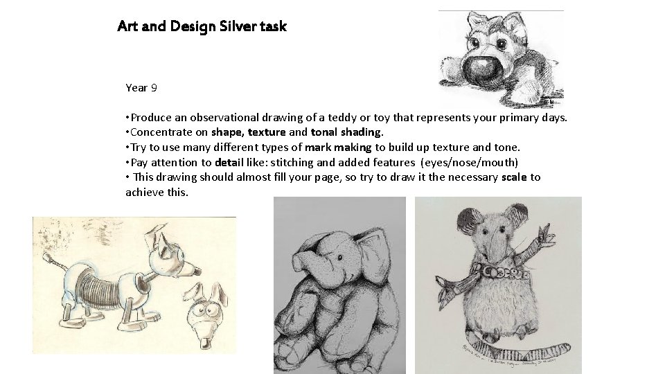 Art and Design Silver task Year 9 • Produce an observational drawing of a