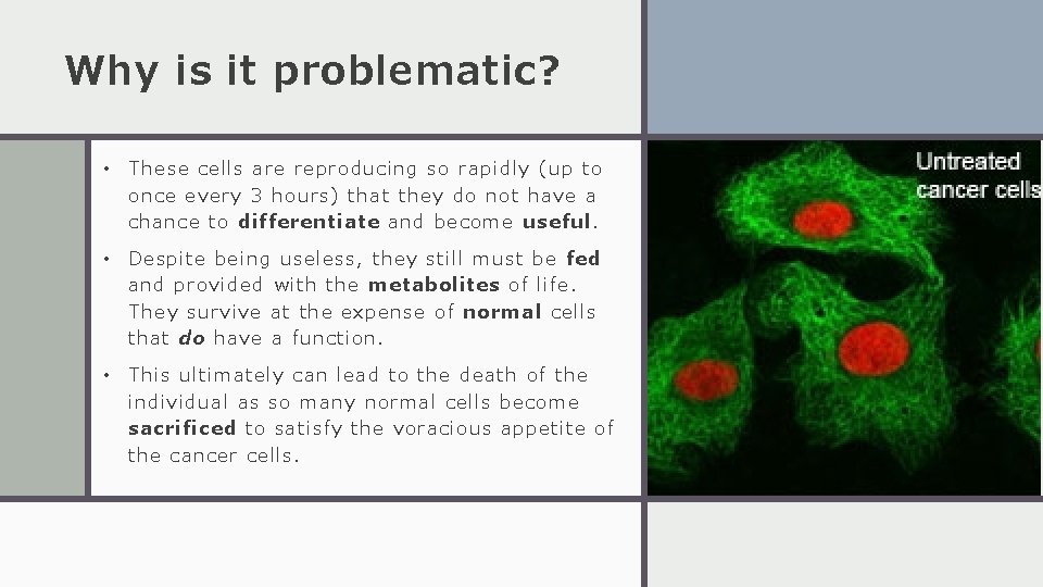 Why is it problematic? • These cells are reproducing so rapidly (up to once