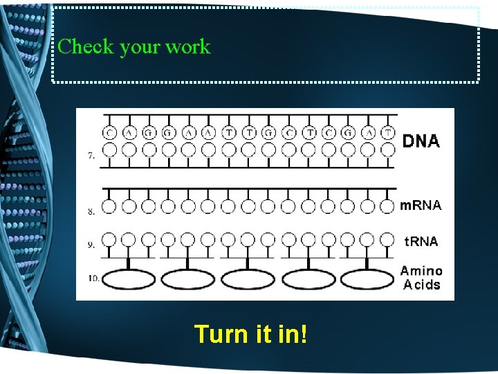 Check your work Turn it in! 