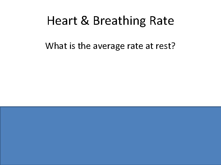 Heart & Breathing Rate What is the average rate at rest? Pulse 72 bpm