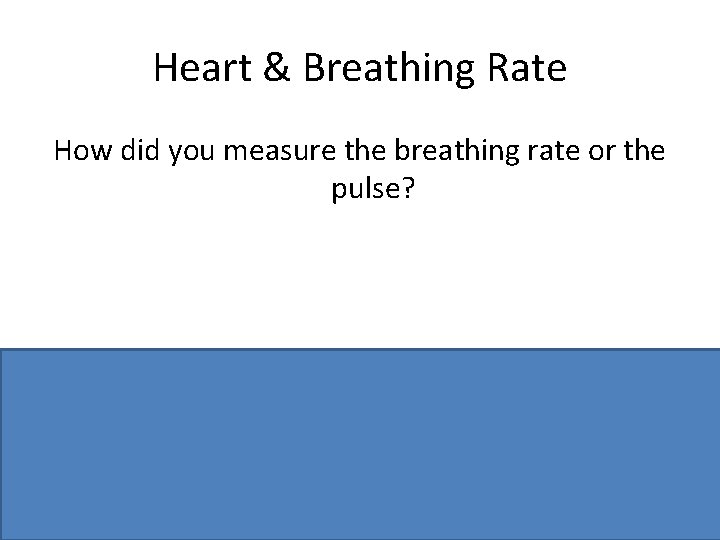 Heart & Breathing Rate How did you measure the breathing rate or the pulse?