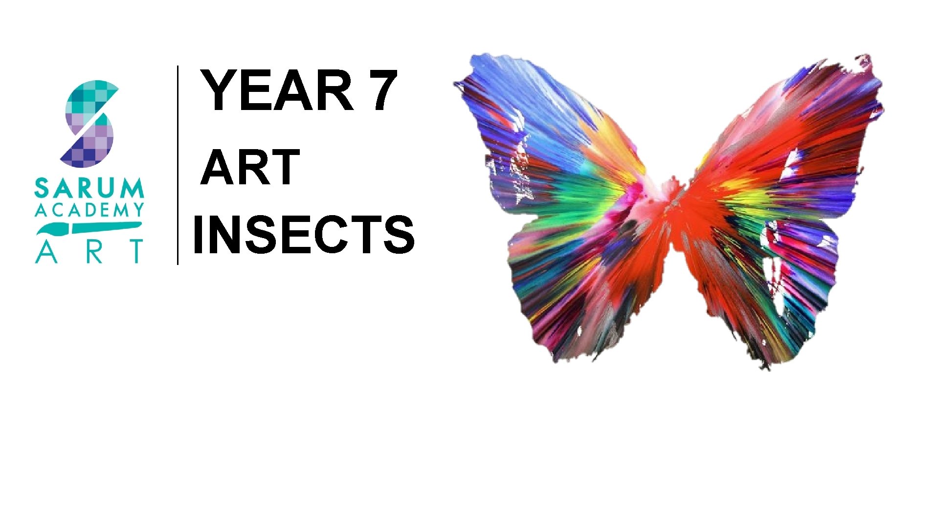 YEAR 7 ART INSECTS 