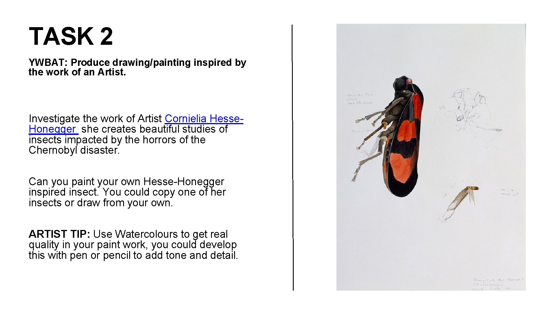 TASK 2 YWBAT: Produce drawing/painting inspired by the work of an Artist. Investigate the