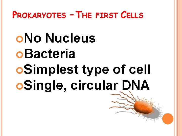 PROKARYOTES – THE No FIRST CELLS Nucleus Bacteria Simplest type of cell Single, circular