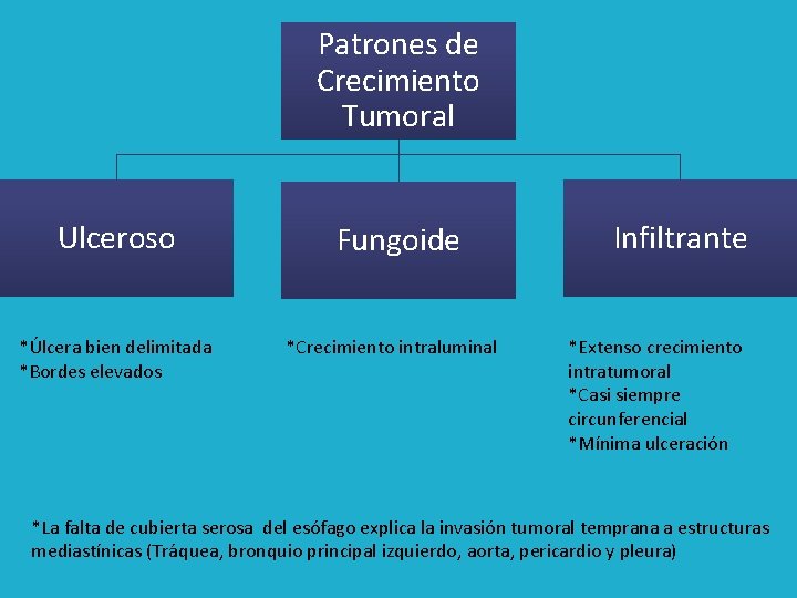 Patrones de Crecimiento Tumoral Ulceroso *Úlcera bien delimitada *Bordes elevados Fungoide *Crecimiento intraluminal Infiltrante