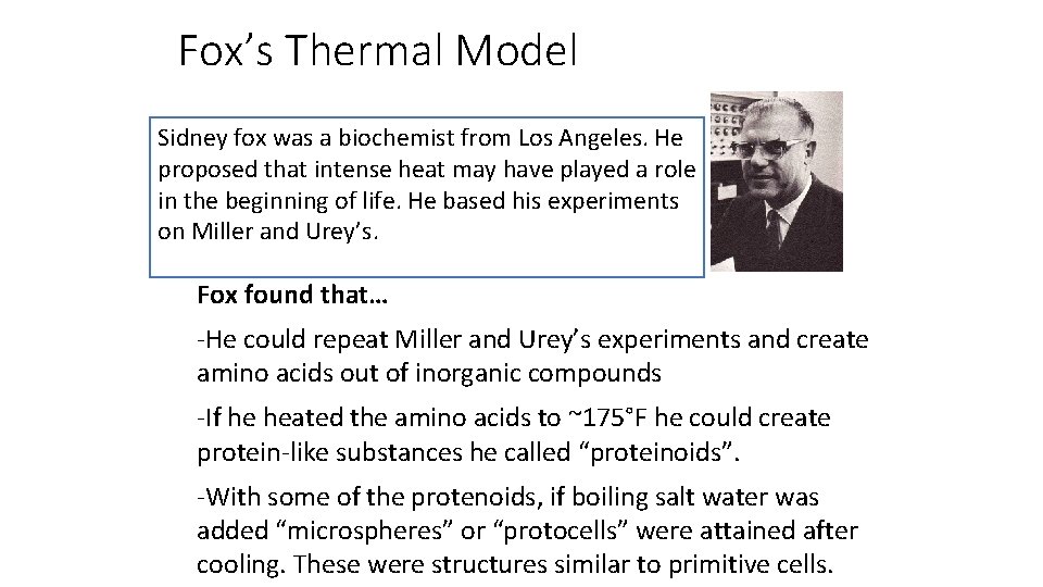 Fox’s Thermal Model Sidney fox was a biochemist from Los Angeles. He proposed that