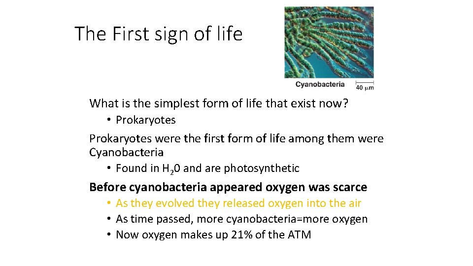 The First sign of life What is the simplest form of life that exist