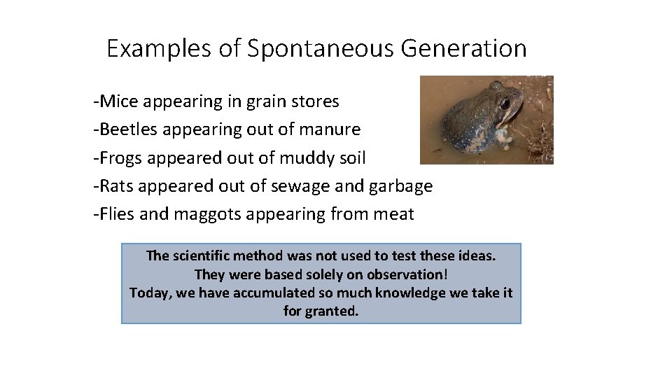 Examples of Spontaneous Generation -Mice appearing in grain stores -Beetles appearing out of manure