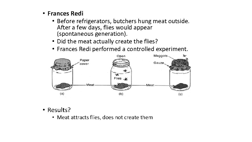  • Frances Redi • Before refrigerators, butchers hung meat outside. After a few