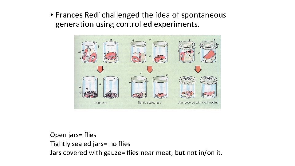  • Frances Redi challenged the idea of spontaneous generation using controlled experiments. Open