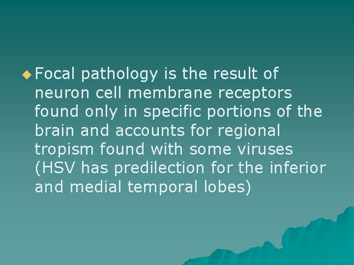 u Focal pathology is the result of neuron cell membrane receptors found only in