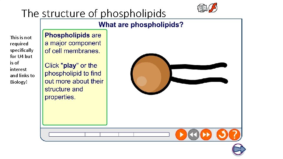 The structure of phospholipids This is not required specifically for U 4 but is
