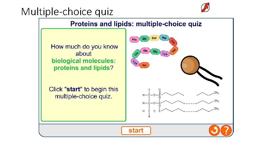 Multiple-choice quiz 